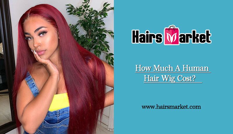 virgin human hair wigs