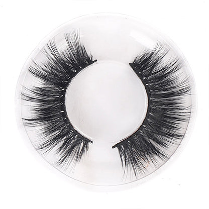 3D Eye Lashes 10 Pairs Mink Eyelashes Criss-cross Strands Cruelty Free